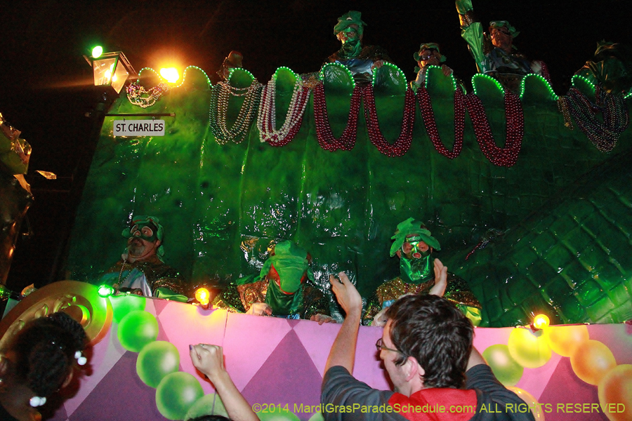 2014-Krewe-of-Bacchus-11497