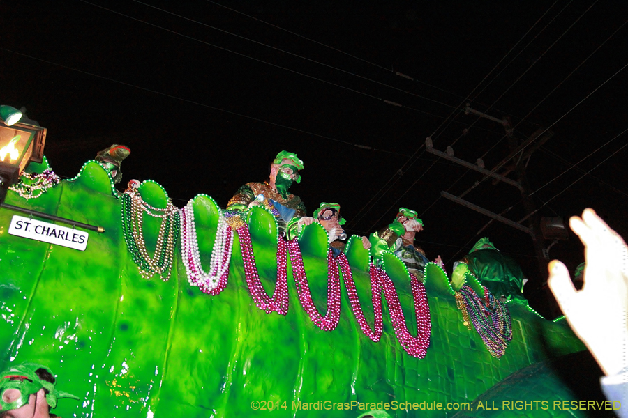 2014-Krewe-of-Bacchus-11498