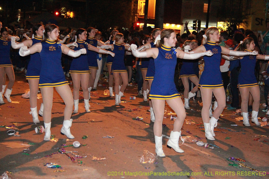 2014-Krewe-of-Bacchus-11505