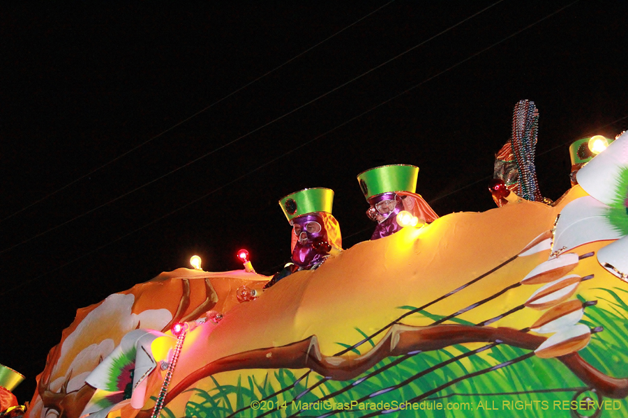 2014-Krewe-of-Bacchus-11513