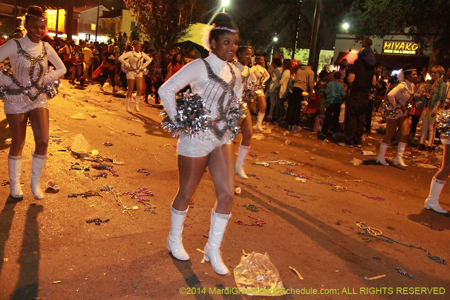 2014-Krewe-of-Bacchus-11535