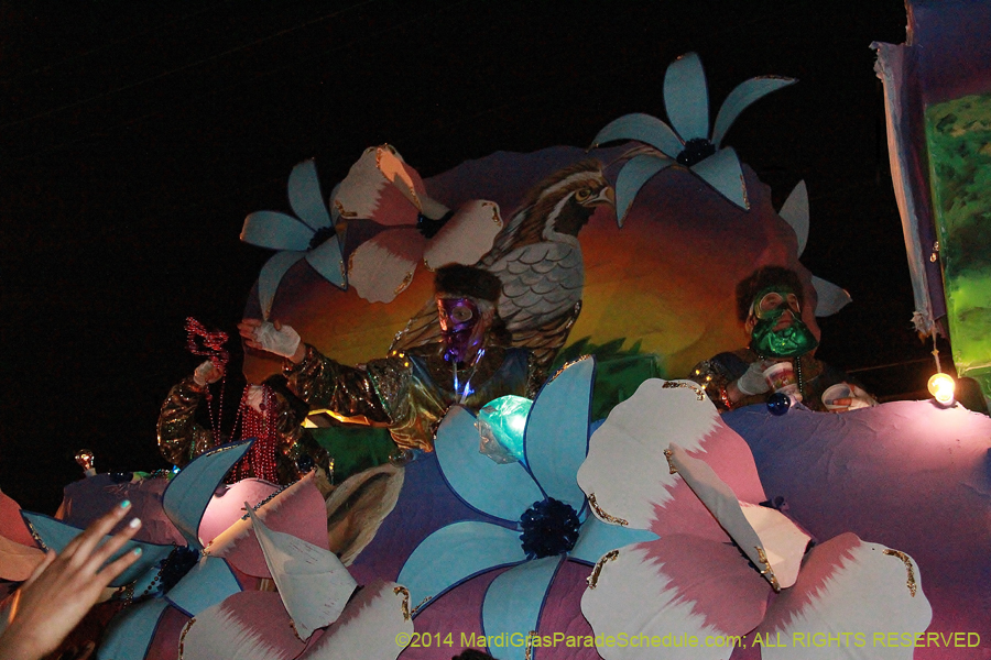 2014-Krewe-of-Bacchus-11546