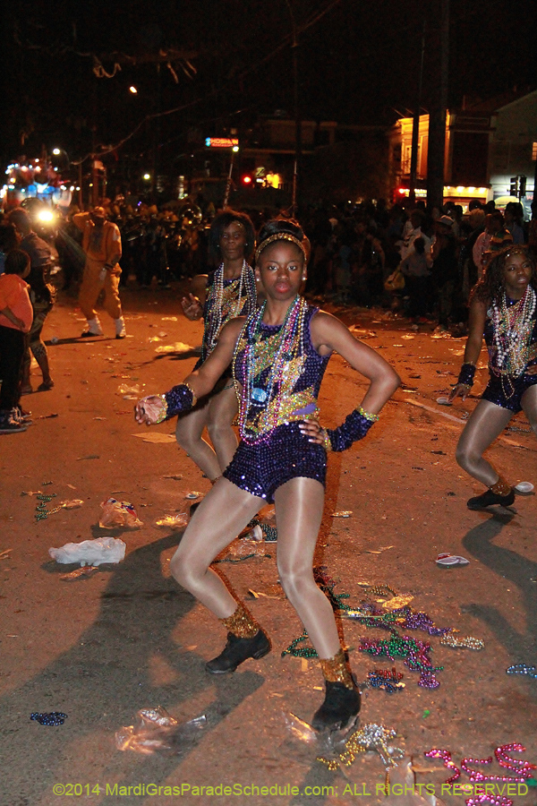 2014-Krewe-of-Bacchus-11550