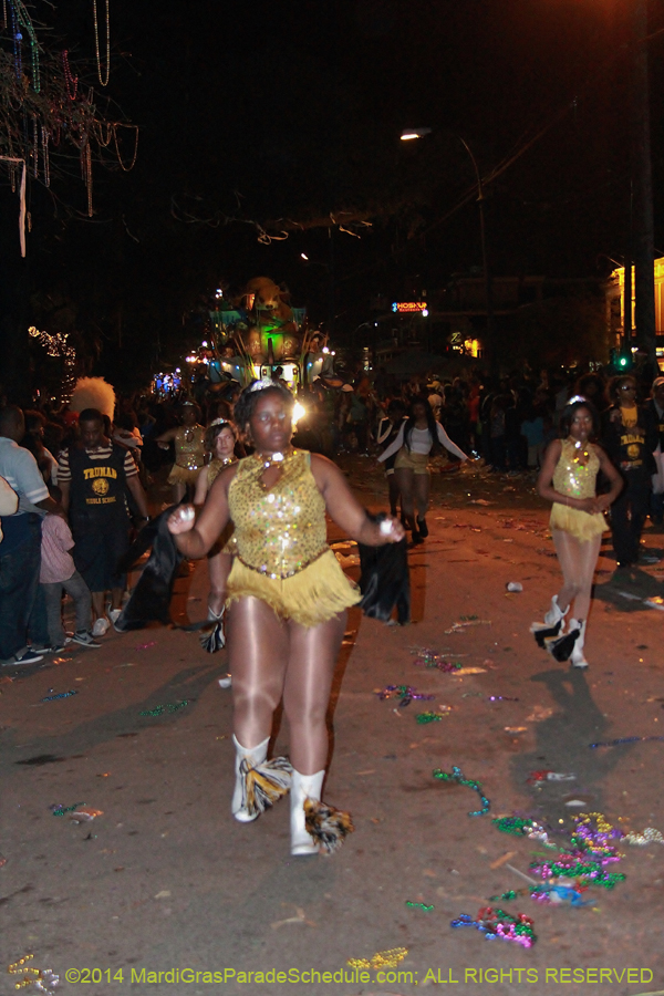 2014-Krewe-of-Bacchus-11568