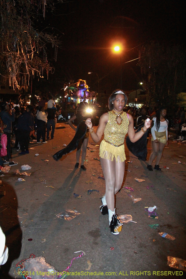 2014-Krewe-of-Bacchus-11569