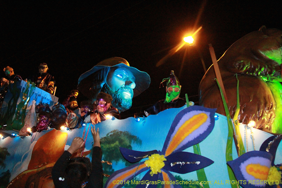 2014-Krewe-of-Bacchus-11571