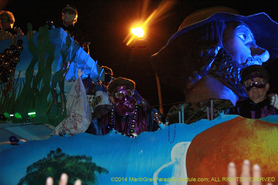 2014-Krewe-of-Bacchus-11573