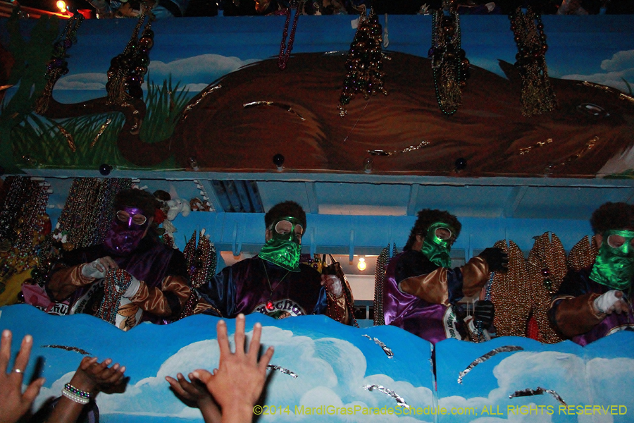 2014-Krewe-of-Bacchus-11576