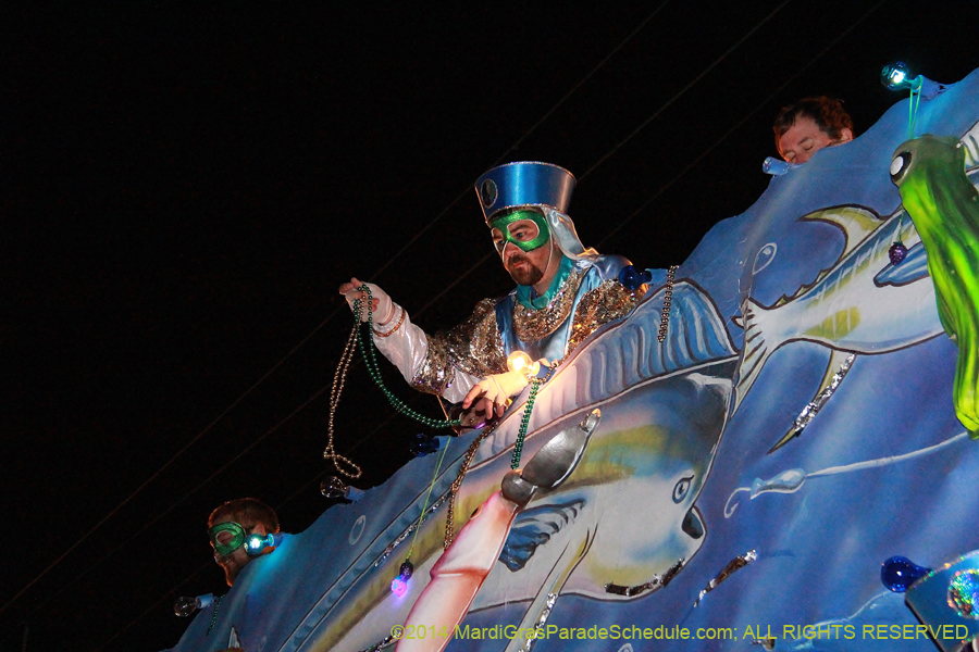 2014-Krewe-of-Bacchus-11590