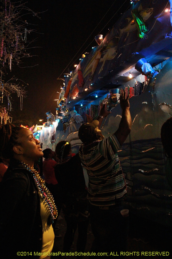 2014-Krewe-of-Bacchus-11594