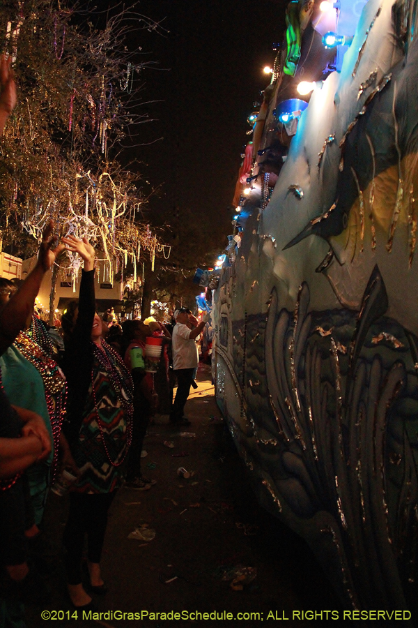 2014-Krewe-of-Bacchus-11598