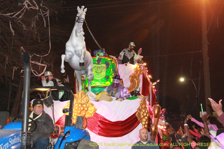 Krewe-of-Bacchus-2015-18428