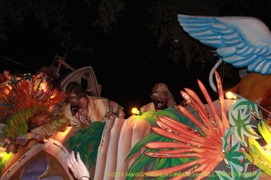 2016-Krewe-of-Bacchus-012991