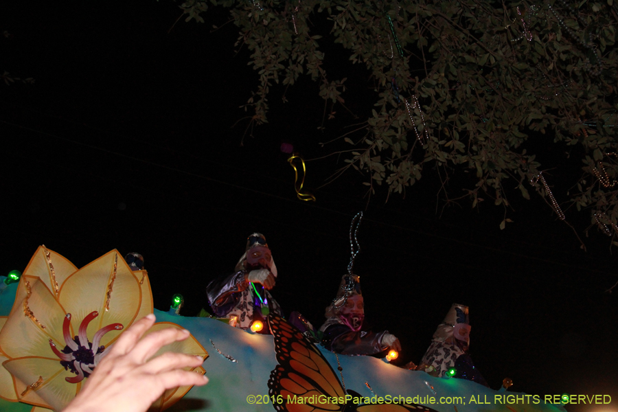 2016-Krewe-of-Bacchus-013007