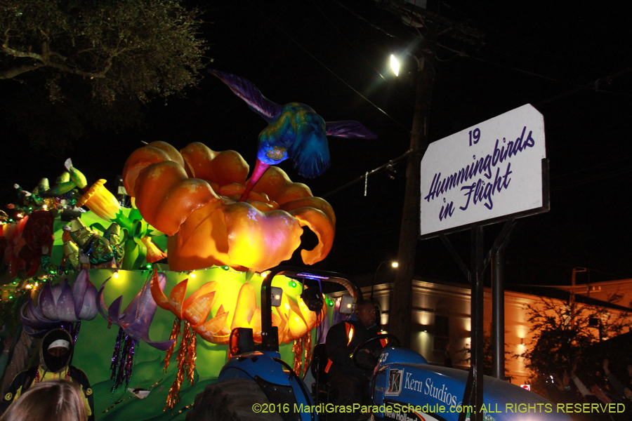 2016-Krewe-of-Bacchus-013144