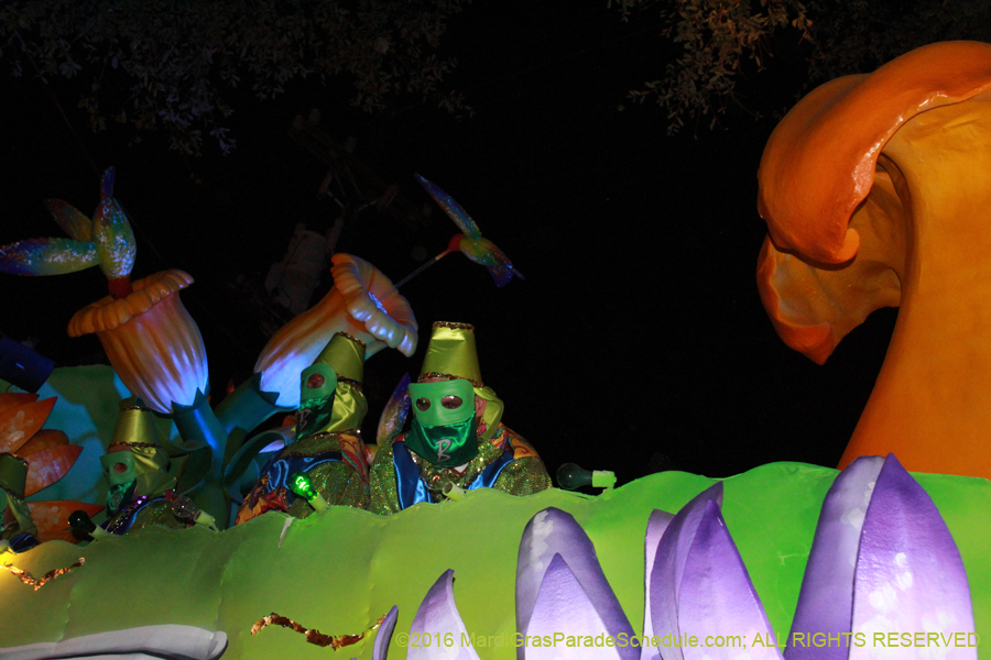 2016-Krewe-of-Bacchus-013145