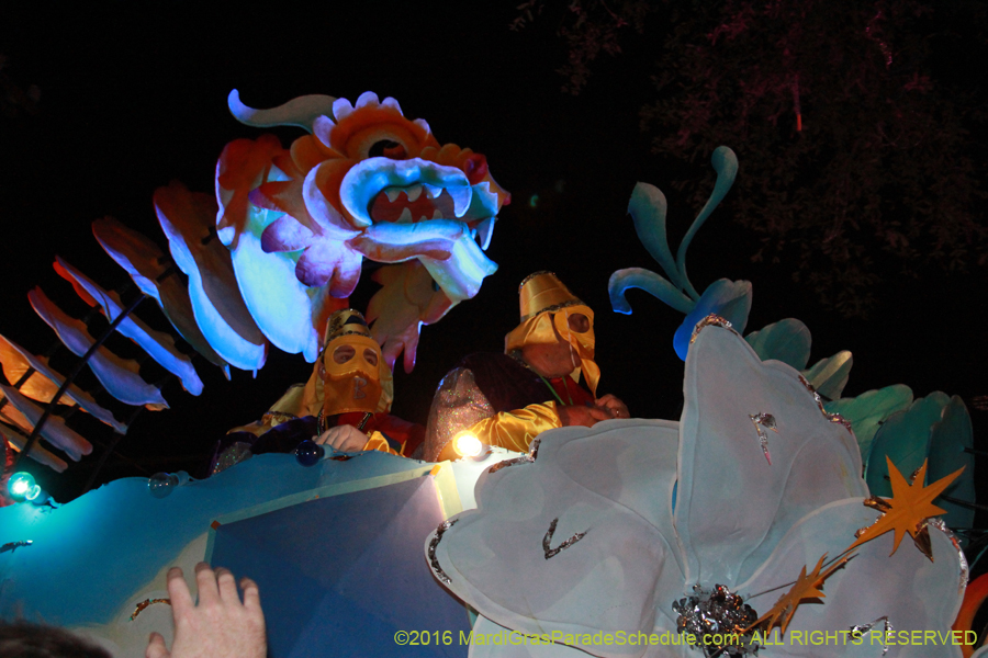 2016-Krewe-of-Bacchus-013307