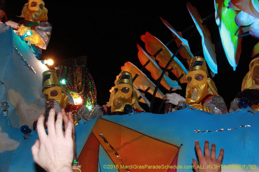 2016-Krewe-of-Bacchus-013308