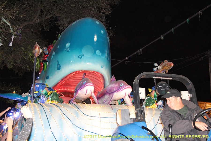 Krewe-of-Bacchus-2017-11049