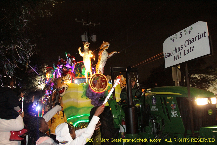 Krewe-of-Bacchus-2019-008894