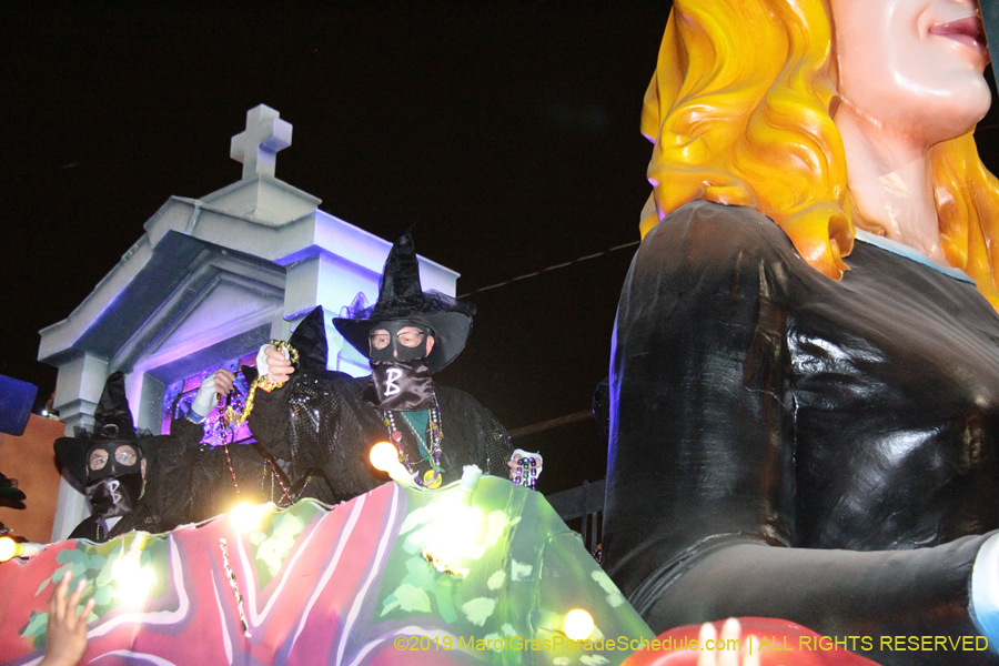 Krewe-of-Bacchus-2019-008972