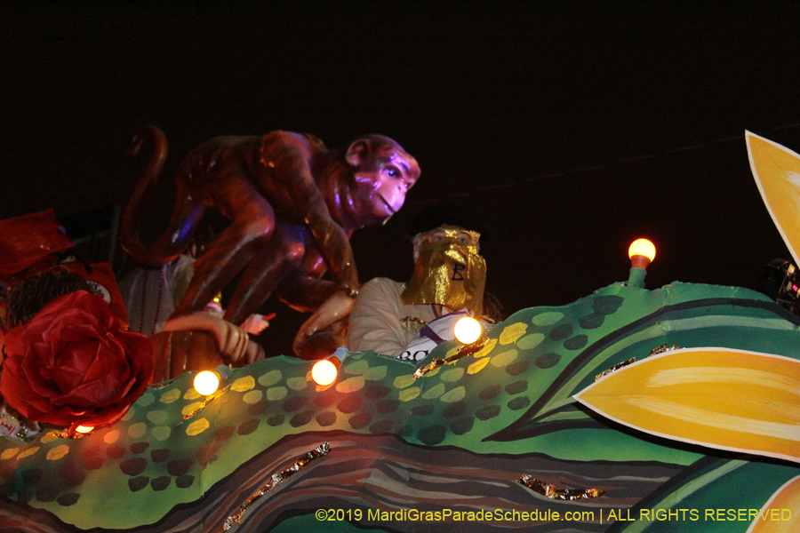 Krewe-of-Bacchus-2019-009020