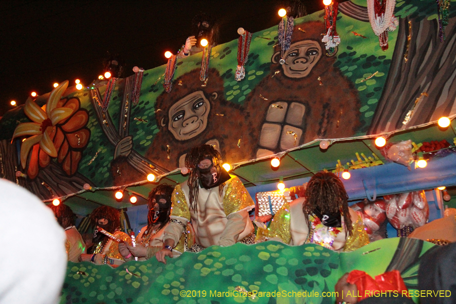 Krewe-of-Bacchus-2019-009024