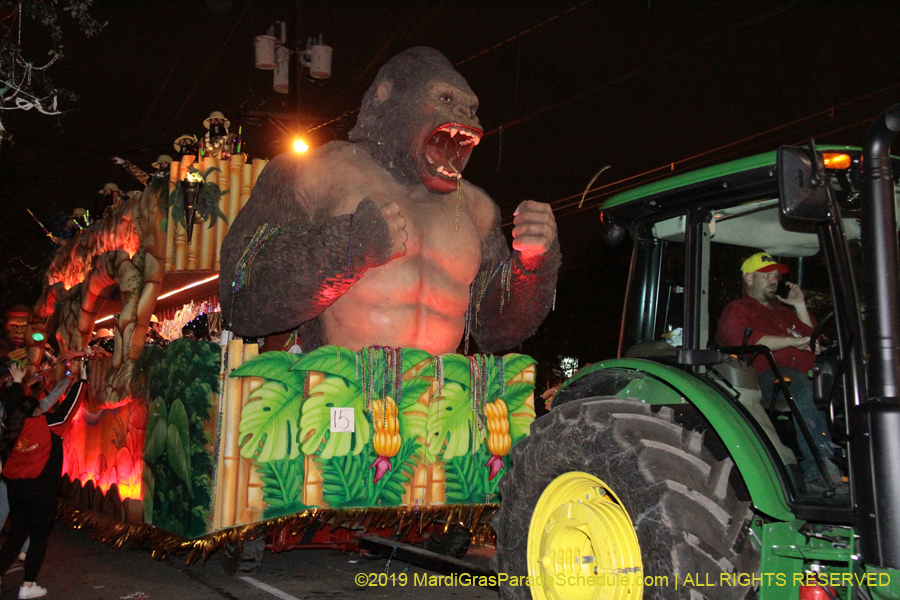 Krewe-of-Bacchus-2019-009031