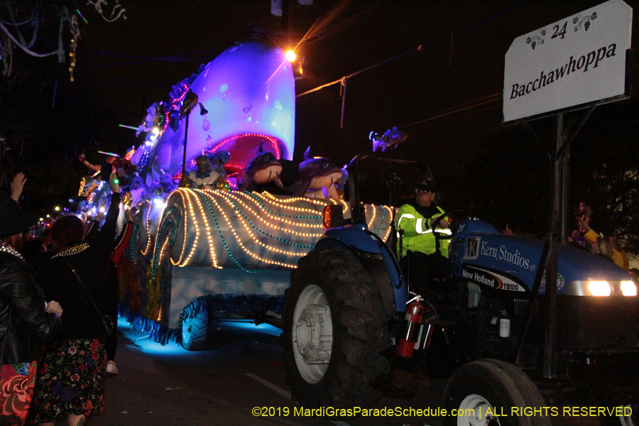 Krewe-of-Bacchus-2019-009143