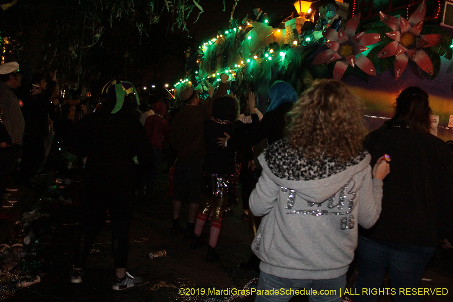 Krewe-of-Bacchus-2019-009176