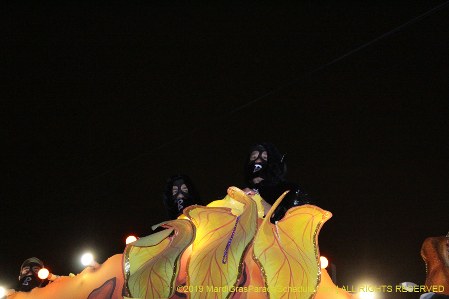 Krewe-of-Bacchus-2019-009241