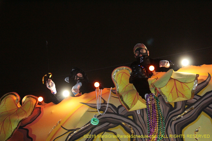 Krewe-of-Bacchus-2019-009243