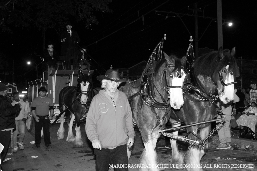 Krewe-of-Bacchus-00079-2022