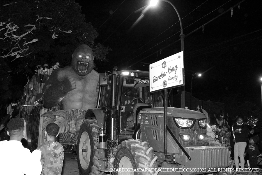 Krewe-of-Bacchus-00206-2022