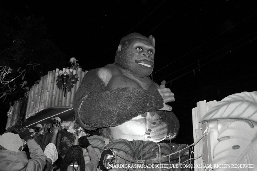 Krewe-of-Bacchus-00216-2022