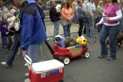 barkus2005_144