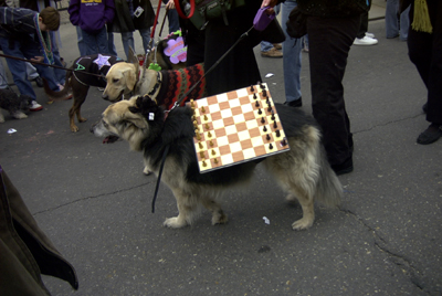 barkus2005_147