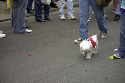 barkus2005_149