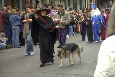 barkus2005_15