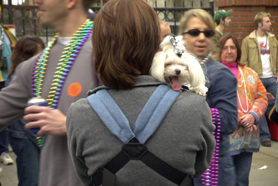 barkus2005_150