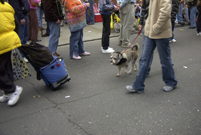 barkus2005_159