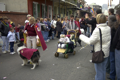 barkus2005_163