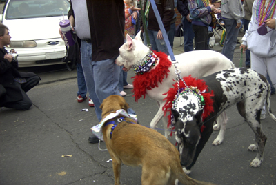 barkus2005_168