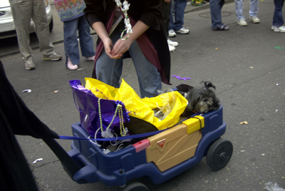 barkus2005_169