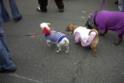 barkus2005_175