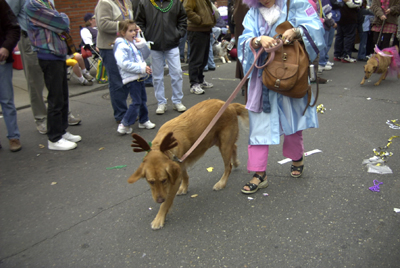 barkus2005_176