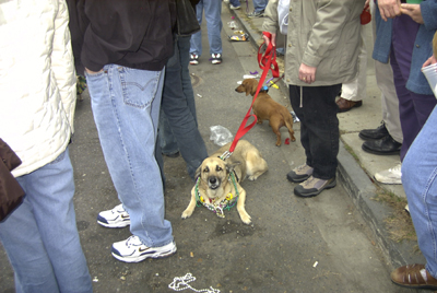 barkus2005_180