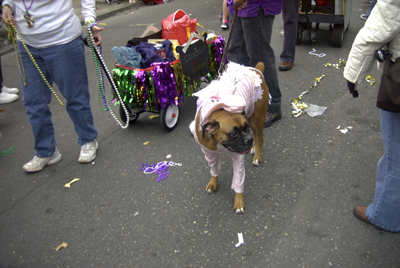 barkus2005_183