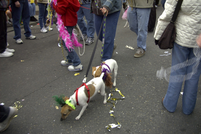 barkus2005_191