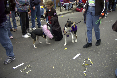 barkus2005_192